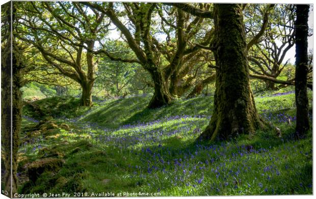 Bluebell Woods Canvas Print by Jean Fry