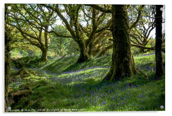 Bluebell Woods Acrylic by Jean Fry
