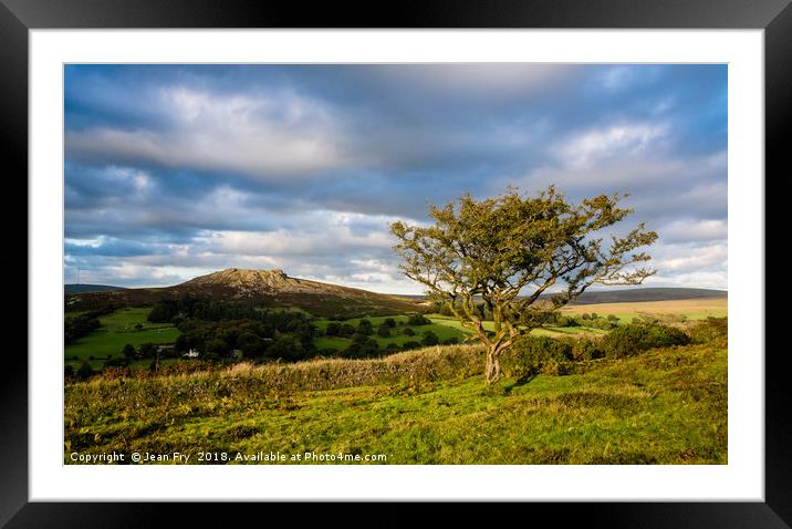 Sheeps Tor and Hawthorn. Late afternoon. Framed Mounted Print by Jean Fry