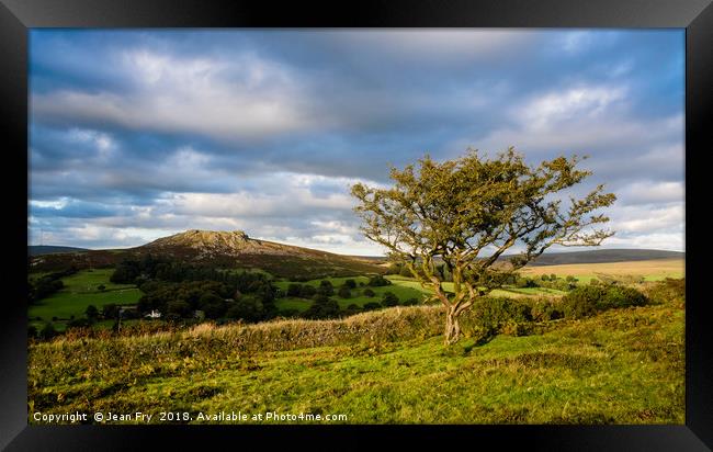 Sheeps Tor and Hawthorn. Late afternoon. Framed Print by Jean Fry