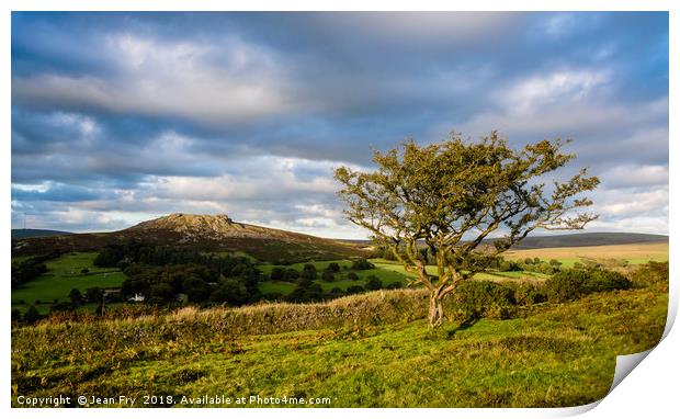 Sheeps Tor and Hawthorn. Late afternoon. Print by Jean Fry