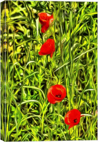 Van Goth Poppys Canvas Print by David Pyatt