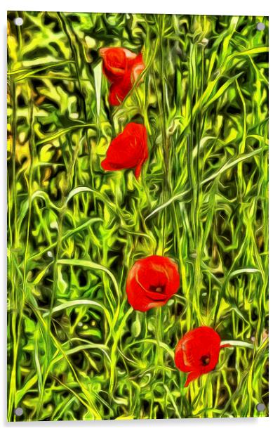 Van Goth Poppys Acrylic by David Pyatt