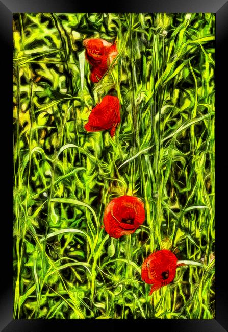 Van Gogh Poppys Framed Print by David Pyatt
