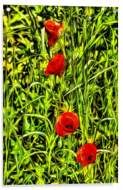Van Gogh Poppys Acrylic by David Pyatt