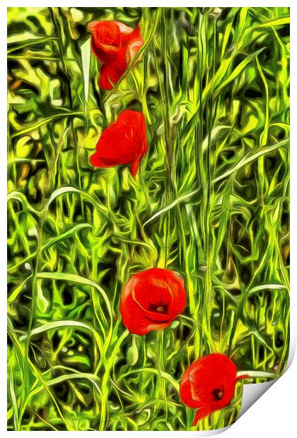 Poppys Van Gogh Art Print by David Pyatt