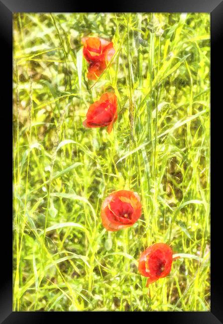 Poppy Watercolour Art Framed Print by David Pyatt