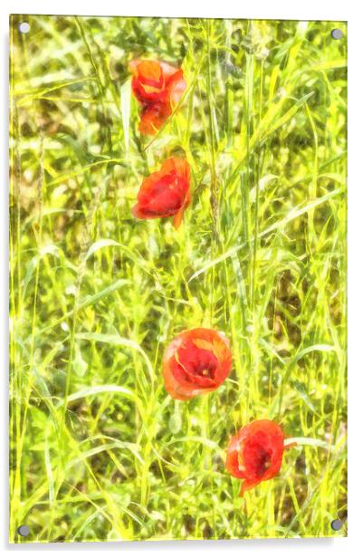 Poppy Watercolour Art Acrylic by David Pyatt