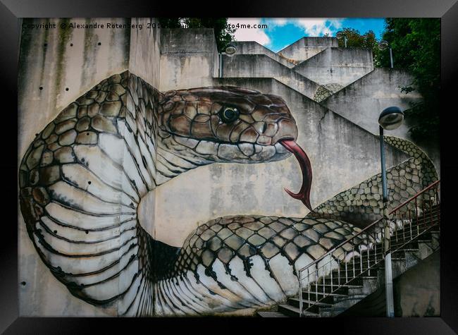 Snake or cobra street art Framed Print by Alexandre Rotenberg