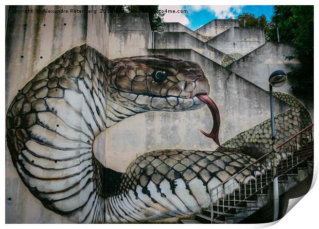 Snake or cobra street art Print by Alexandre Rotenberg