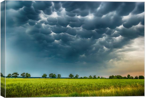 Mammatus clouds fill the sky. Canvas Print by Sergey Fedoskin