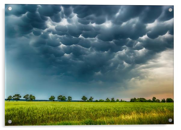 Mammatus clouds fill the sky. Acrylic by Sergey Fedoskin