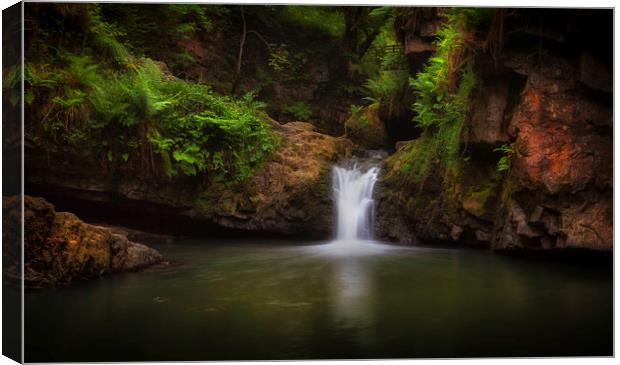 The Lower Sychryd Cascades Canvas Print by Leighton Collins