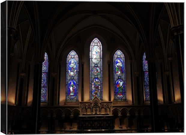 Saint Patricks Cathedral in Dublin Canvas Print by Martine Boer - Reid
