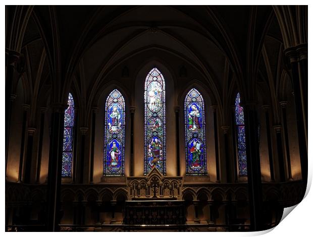 Saint Patricks Cathedral in Dublin Print by Martine Boer - Reid