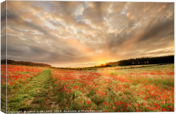 Stunning poppy field at sunrise in Norfolk UK Canvas Print by Simon Bratt LRPS
