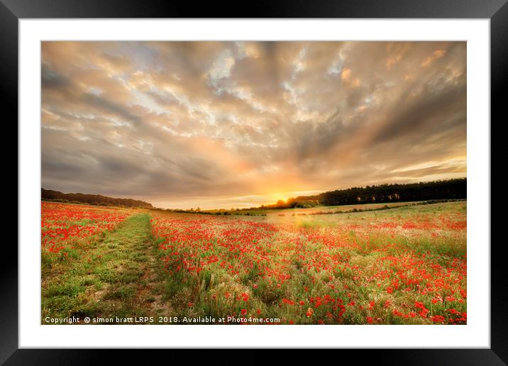 Stunning poppy field at sunrise in Norfolk UK Framed Mounted Print by Simon Bratt LRPS