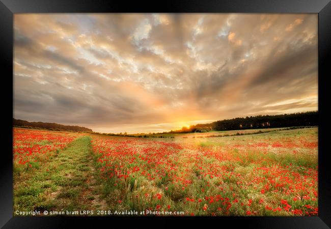 Stunning poppy field at sunrise in Norfolk UK Framed Print by Simon Bratt LRPS