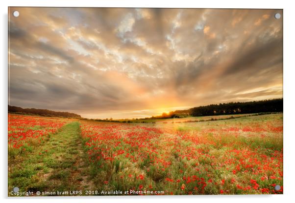 Stunning poppy field at sunrise in Norfolk UK Acrylic by Simon Bratt LRPS