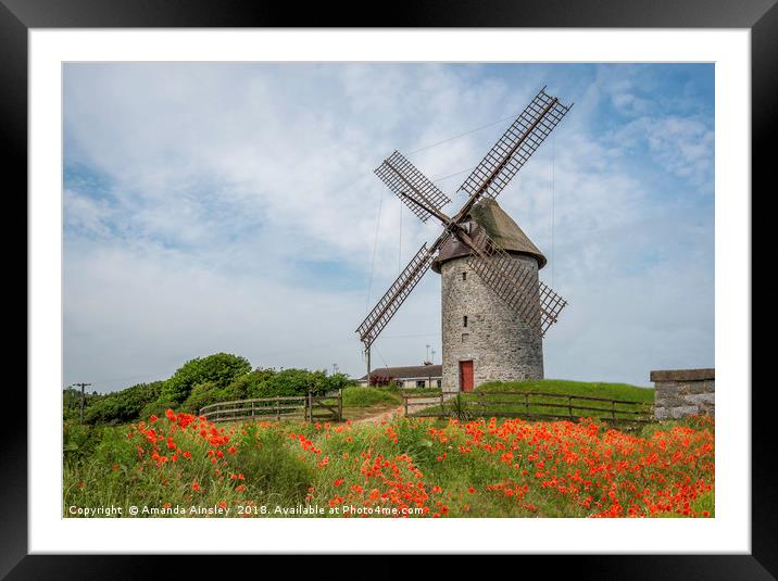 The Majestic Beauty of Skerries Windmill and Poppi Framed Mounted Print by AMANDA AINSLEY