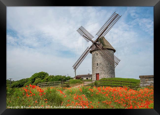 The Majestic Beauty of Skerries Windmill and Poppi Framed Print by AMANDA AINSLEY