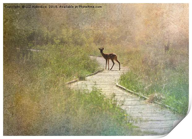Daydream Deer Print by LIZ Alderdice
