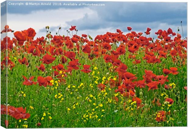 Painterly Poppies Canvas Print by Martyn Arnold