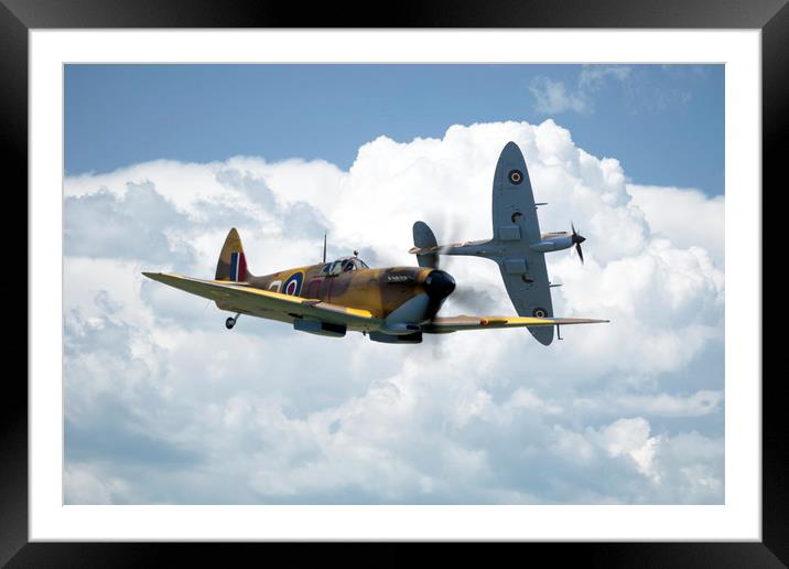 Spitfire - Desert Air Force Framed Mounted Print by J Biggadike