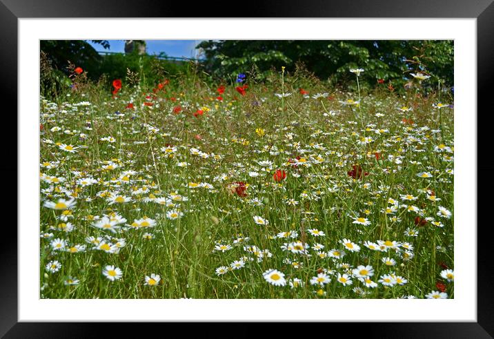 Wildflower Meadow Framed Mounted Print by Lee Sulsh