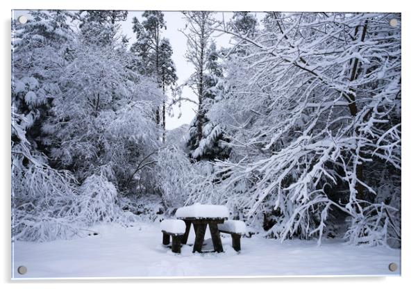 A snowy picnic Acrylic by Kevin Arscott