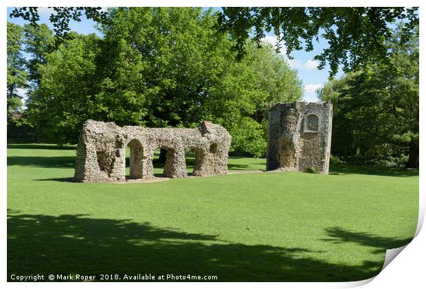 Ruined wall and dovecote of medieval abbey in Bury Print by Mark Roper