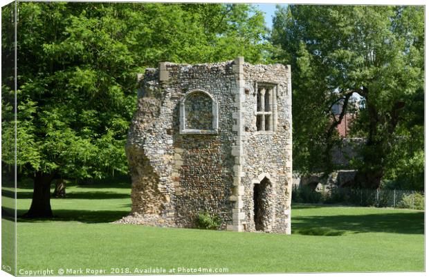 Ruined dovecote of medieval abbey in Bury St Edmunds Canvas Print by Mark Roper