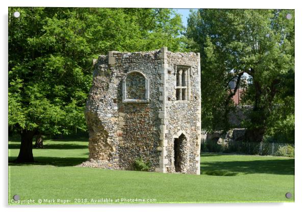 Ruined dovecote of medieval abbey in Bury St Edmunds Acrylic by Mark Roper