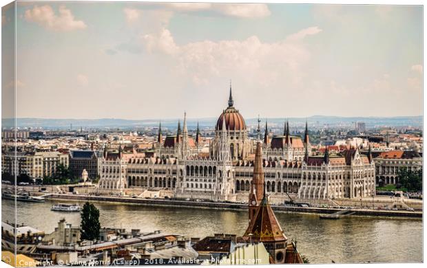 Beautiful Budapest Canvas Print by Lynne Morris (Lswpp)