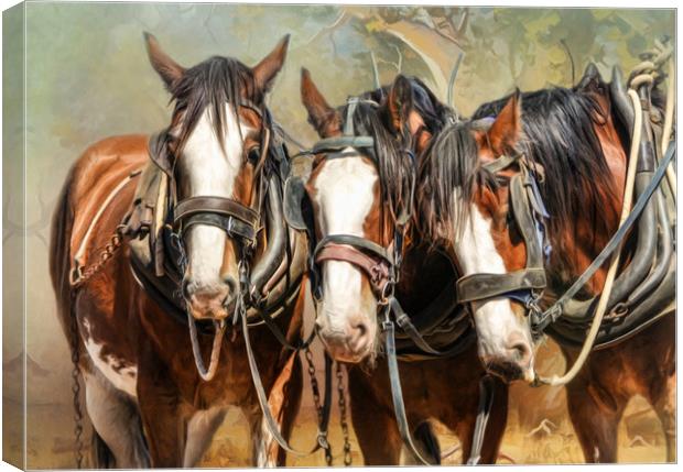 Clydesdale Conversation Canvas Print by Trudi Simmonds