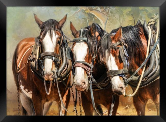 Clydesdale Conversation Framed Print by Trudi Simmonds