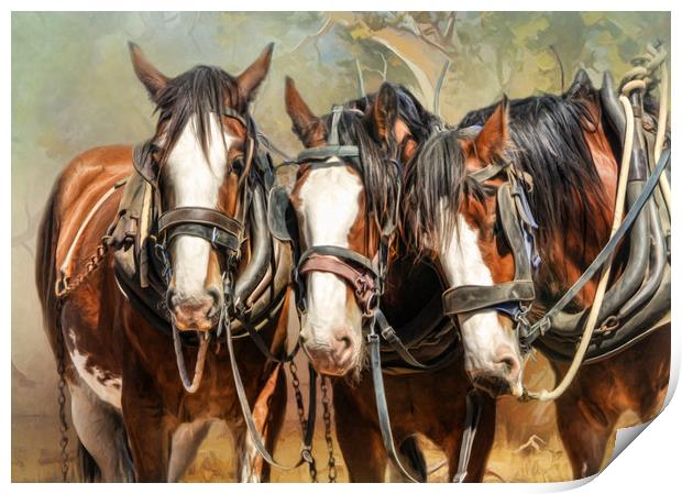 Clydesdale Conversation Print by Trudi Simmonds
