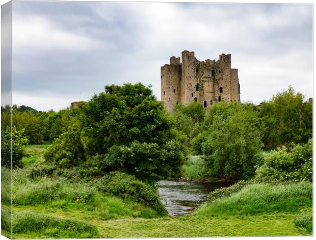 Trim castle in Ireland  Canvas Print by Thomas Baker