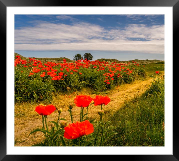 Pathway to the Poppies Framed Mounted Print by Naylor's Photography