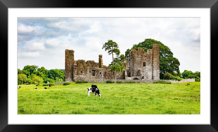 Dairy cows grazing in field near castle  Framed Mounted Print by Thomas Baker