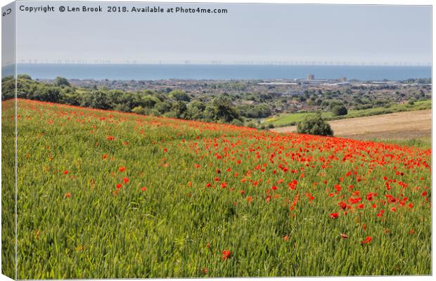Poppies and the Sea Canvas Print by Len Brook