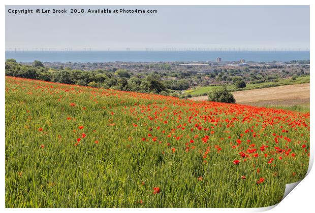 Poppies and the Sea Print by Len Brook