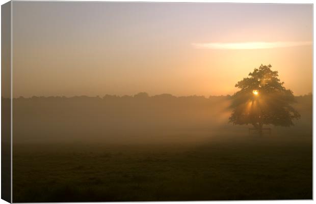 Morning Mist Canvas Print by Adrian Fox
