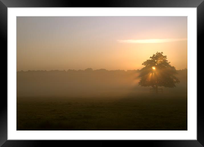Morning Mist Framed Mounted Print by Adrian Fox