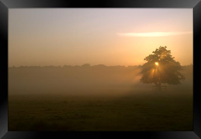 Morning Mist Framed Print by Adrian Fox