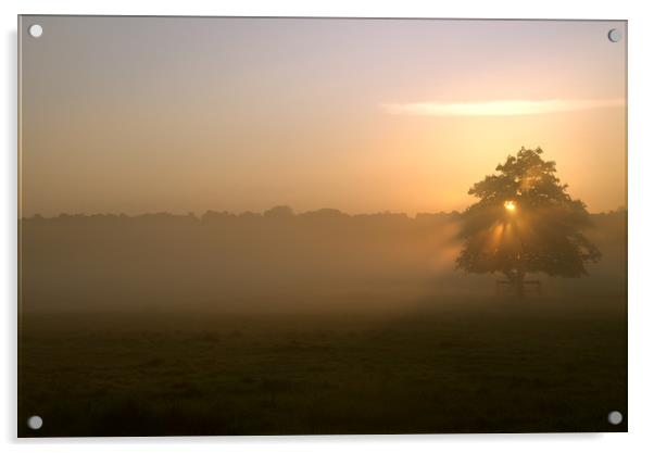 Morning Mist Acrylic by Adrian Fox
