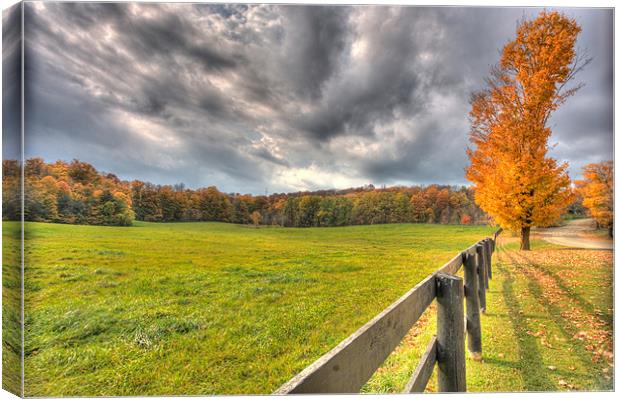 Autumn field Canvas Print by Andrew Pelvin