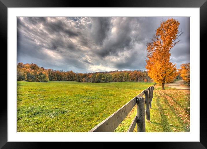 Autumn field Framed Mounted Print by Andrew Pelvin