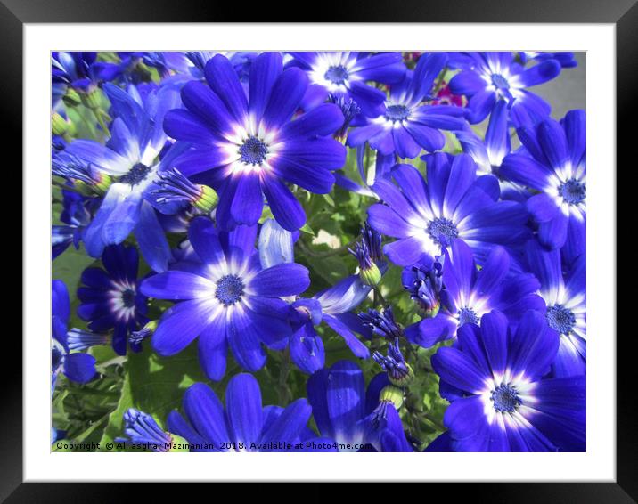      All blues,                           Framed Mounted Print by Ali asghar Mazinanian