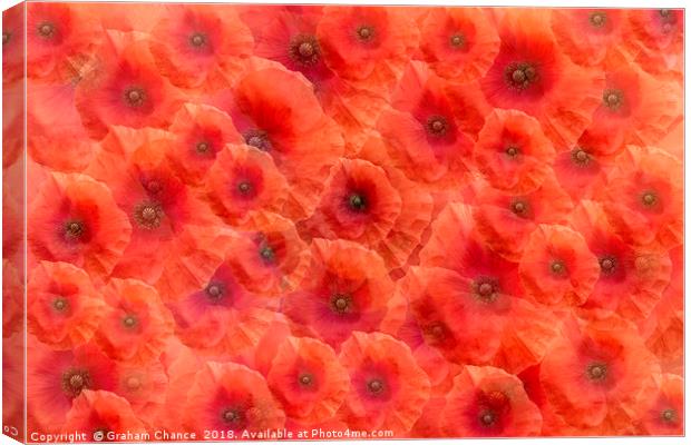 Poppy red Canvas Print by Graham Chance